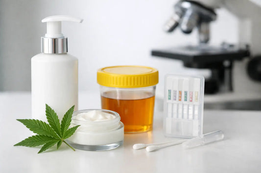 Does CBD Lotion Show on Drug Tests? The Facts