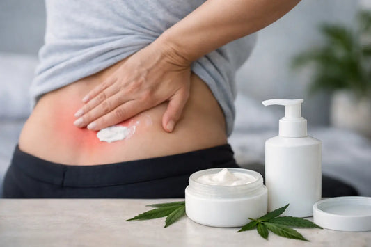 CBD Lotion for Back Pain: What to Expect