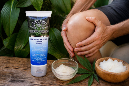 Best Natural CBD Salve for Joints: 2026 Guide