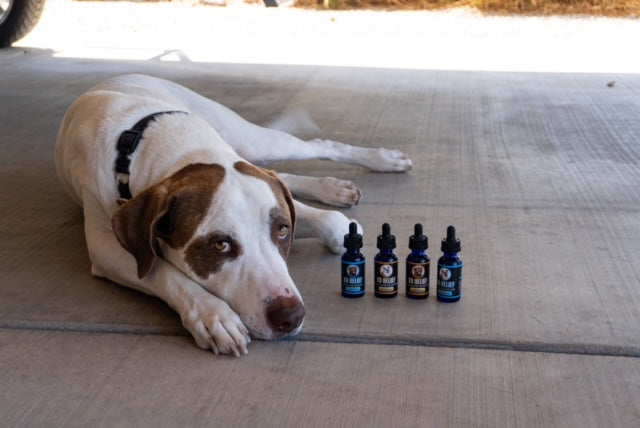 Relief CBD K9 Tinctures