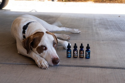 Relief CBD K9 Tinctures